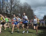 111 (258)